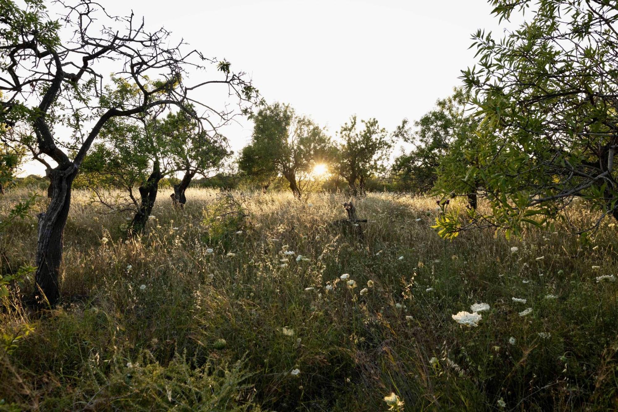 Soul Valley All-In Boutique Hotel With Yoga & Wellness Maracalagonis 外观 照片